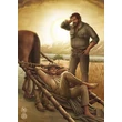 terence-hill-bogre